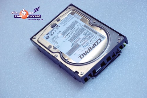 Pol compaq festplatte - gb,